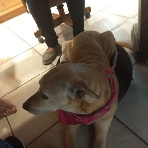 Meet your Posher, Richard